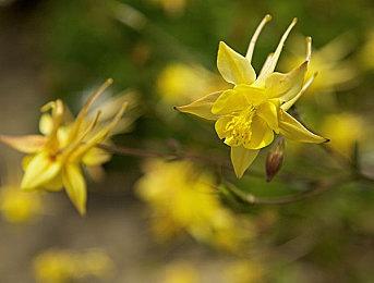 Xbox发布会：互动叙事《黄昏降临时》发售日公布